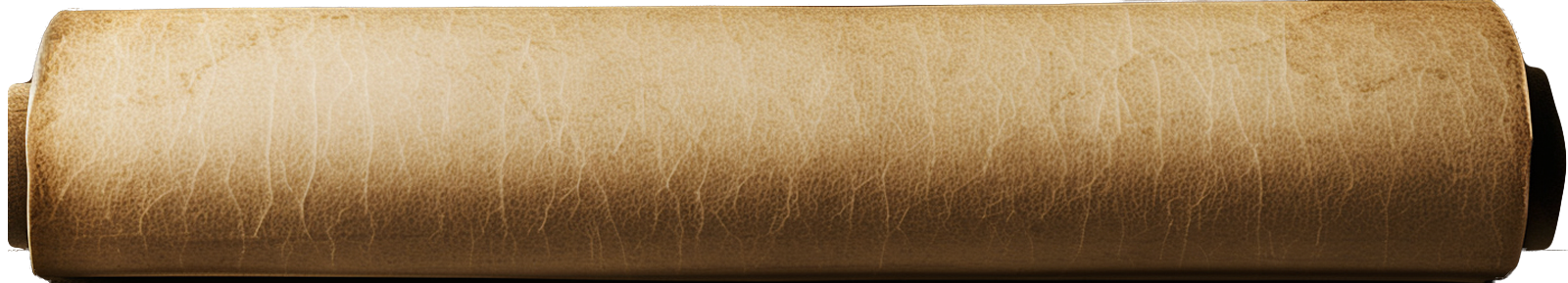 paper-scroll-variation-bottom-3